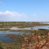 The Evros River