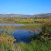 Schinias National Park, Greece (photo by aris Vidalis)