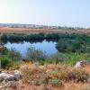 Pond habitats within the Paralimni lake basin.