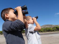 International birdwatching day, Schinias, Greece (photo Stam Zogaris)