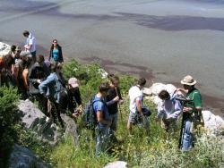 Field class at Schinias National Park (photo Kostas Papakonstantinou)